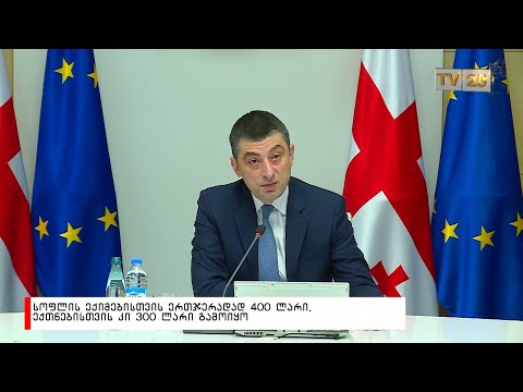 სოფლის ექიმებისთვის ერთჯერადად 400 ლარი, ექთნებისთვის კი, 300 ლარი გამოიყო